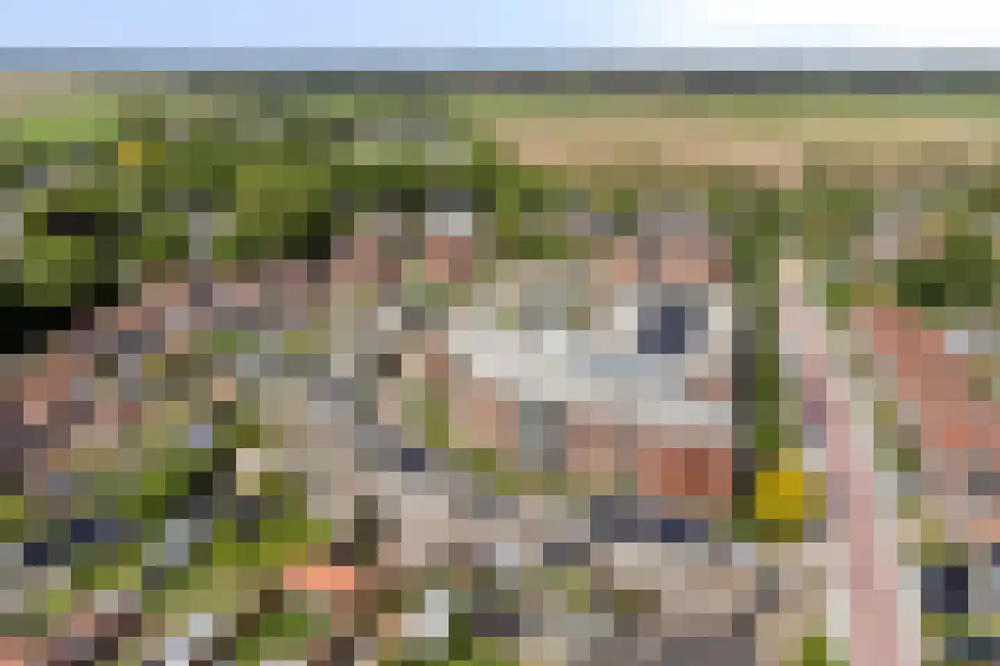 Antonialaan 5 Almkerk thumbnail 30