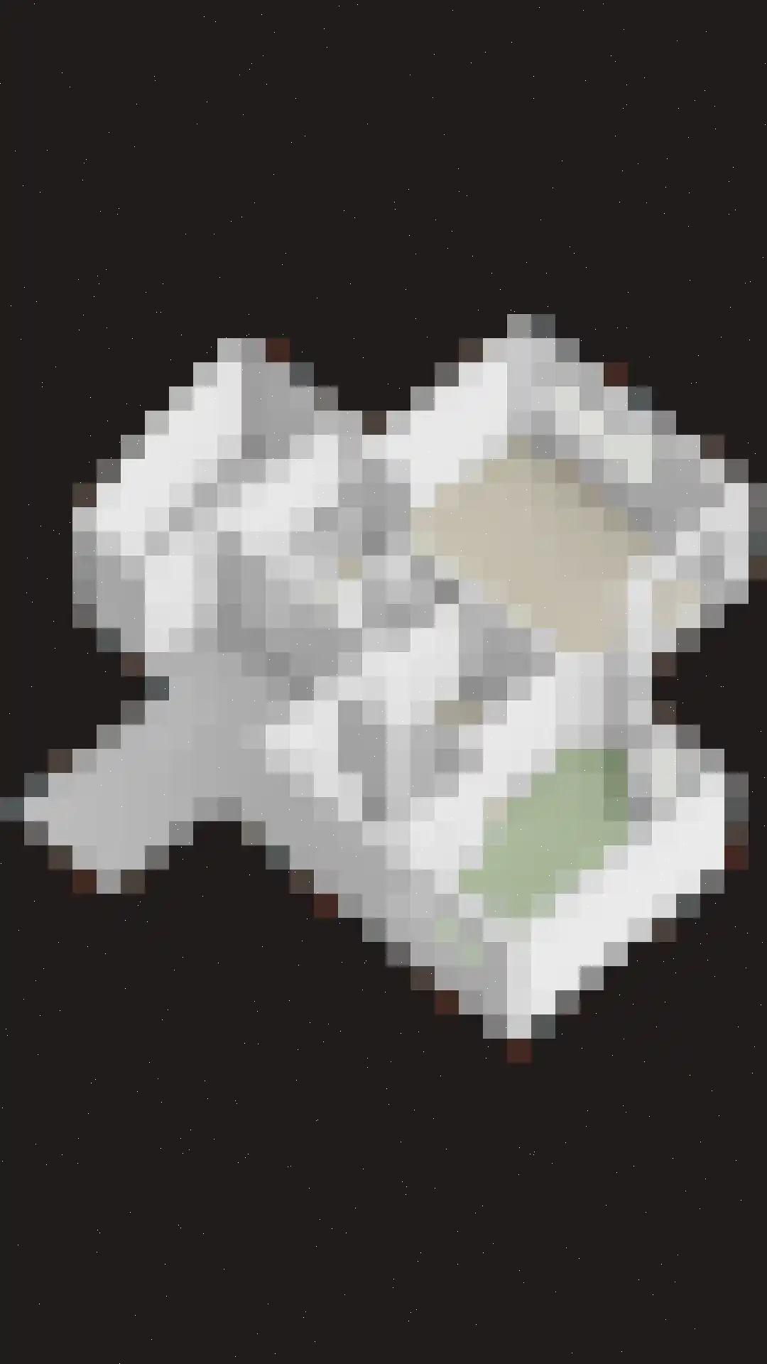 Antonialaan 5 Almkerk thumbnail 32