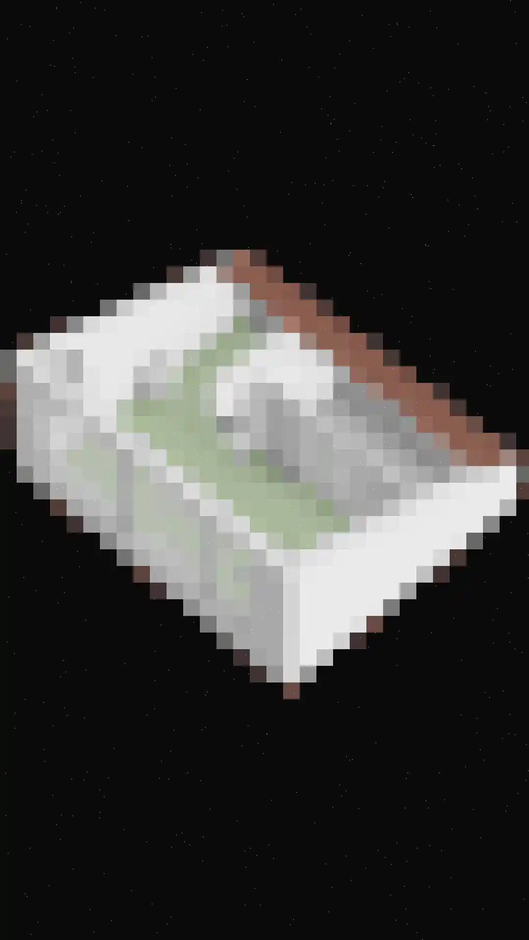 Antonialaan 5 Almkerk thumbnail 34