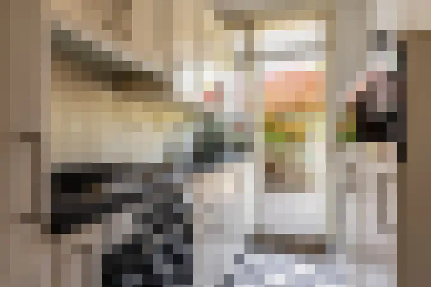 Antonides van der Goesstraat 19 Haarlem thumbnail 12
