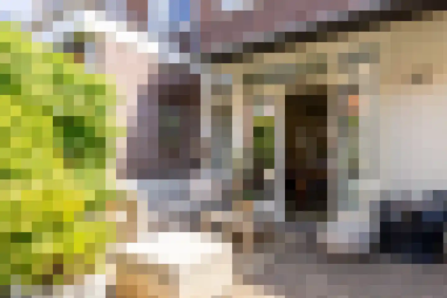 Antonides van der Goesstraat 19 Haarlem thumbnail 26