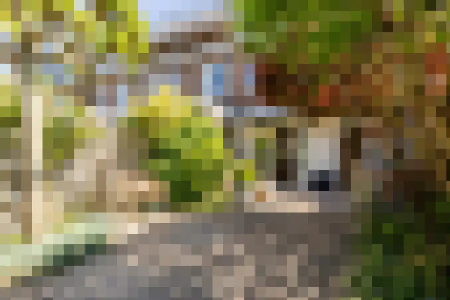 Antonides van der Goesstraat 19 Haarlem thumbnail 28