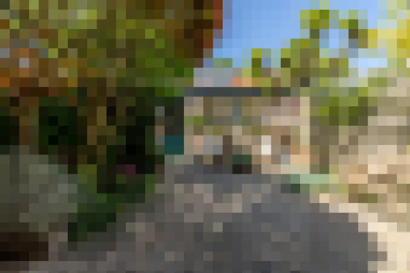 Antonides van der Goesstraat 19 Haarlem thumbnail 29