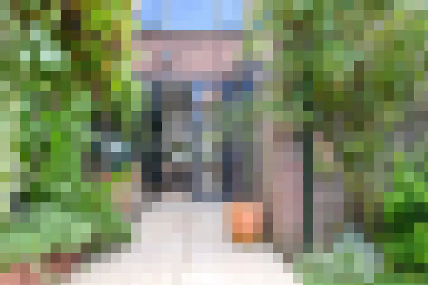 Antonides van der Goesstraat 31 Haarlem thumbnail 36