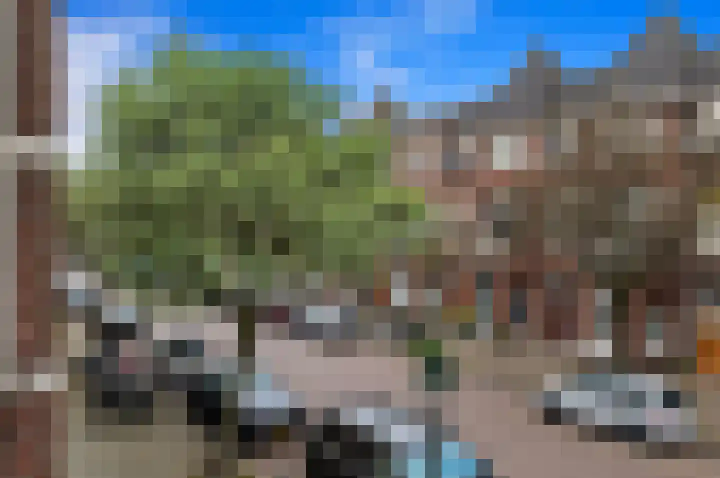Antonie Duyckstraat 142 Den Haag thumbnail 13