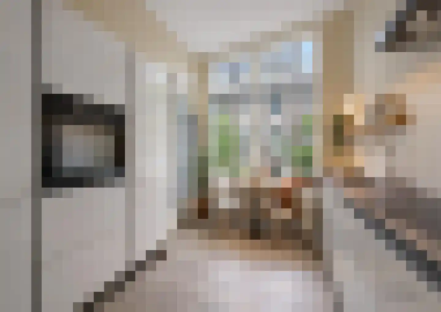 Antonie Duyckstraat 142 Den Haag thumbnail 51