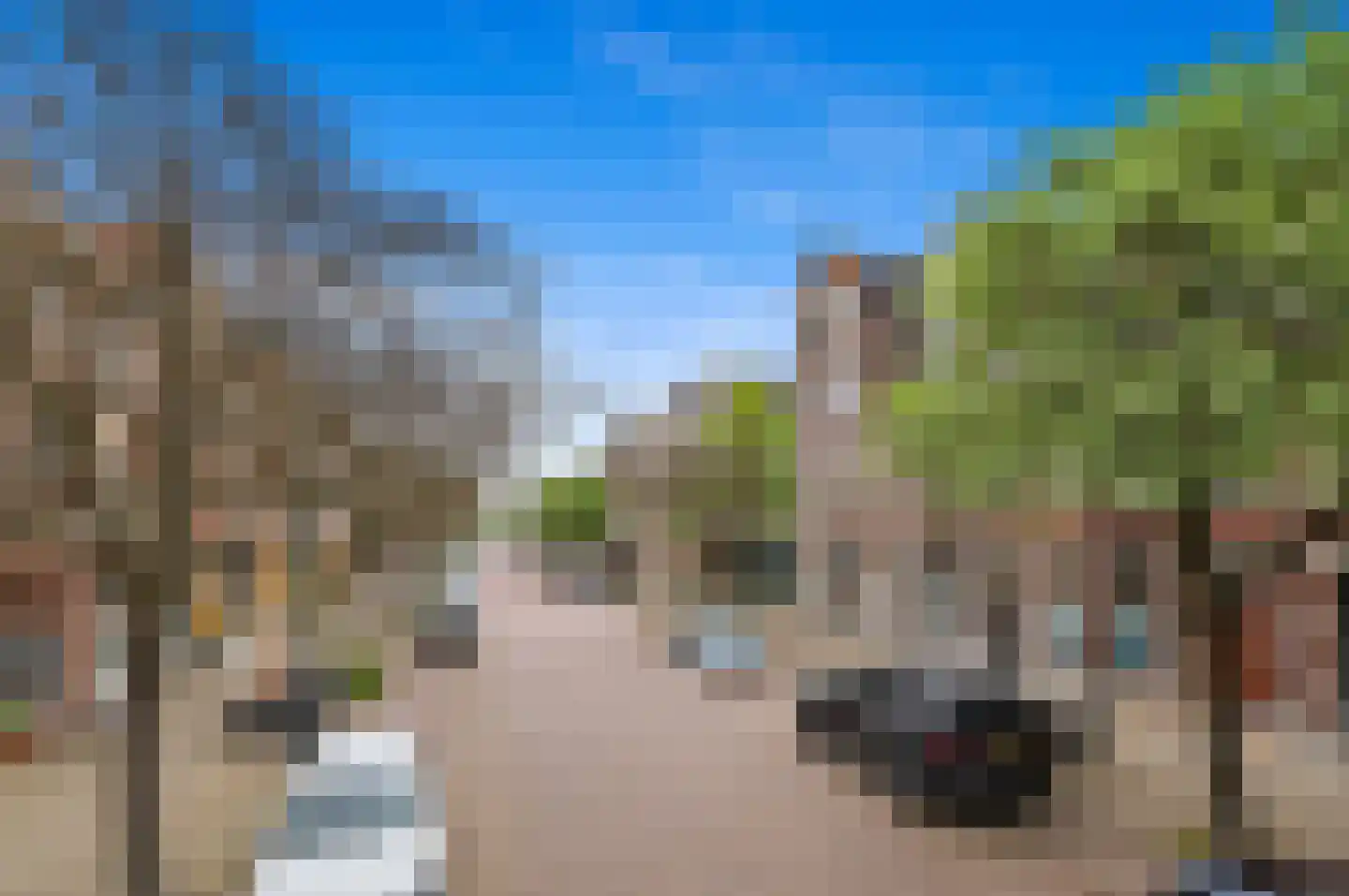 Antonie Duyckstraat 142 Den Haag thumbnail 6