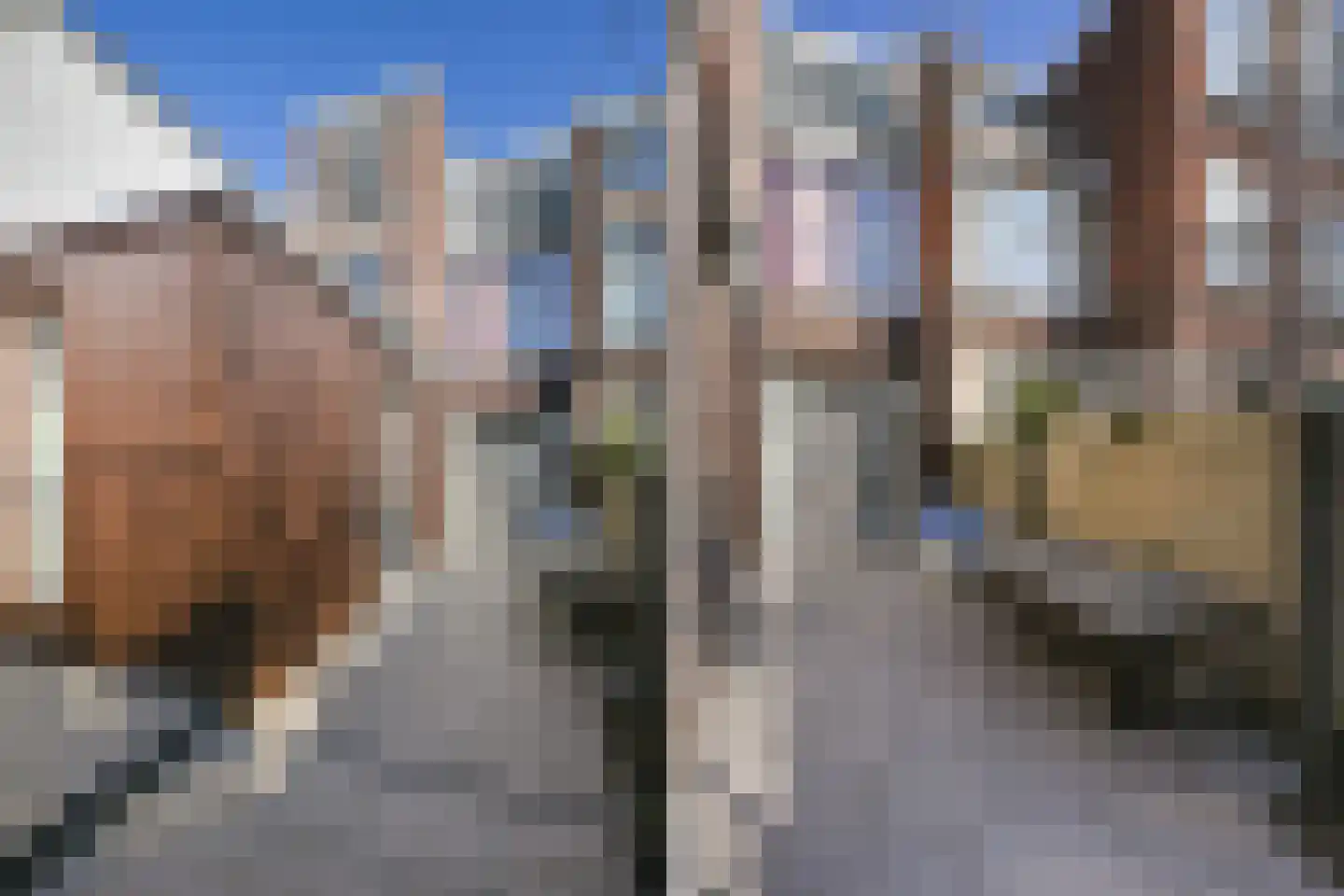 Antonie Duyckstraat 30 Den Haag thumbnail 33