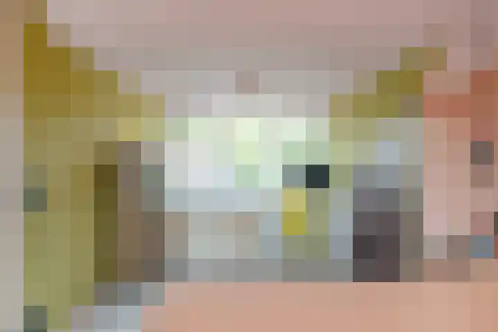 Antonie Duyckstraat 6 Vlaardingen thumbnail 31