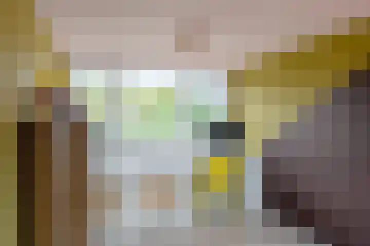 Antonie Duyckstraat 6 Vlaardingen thumbnail 32