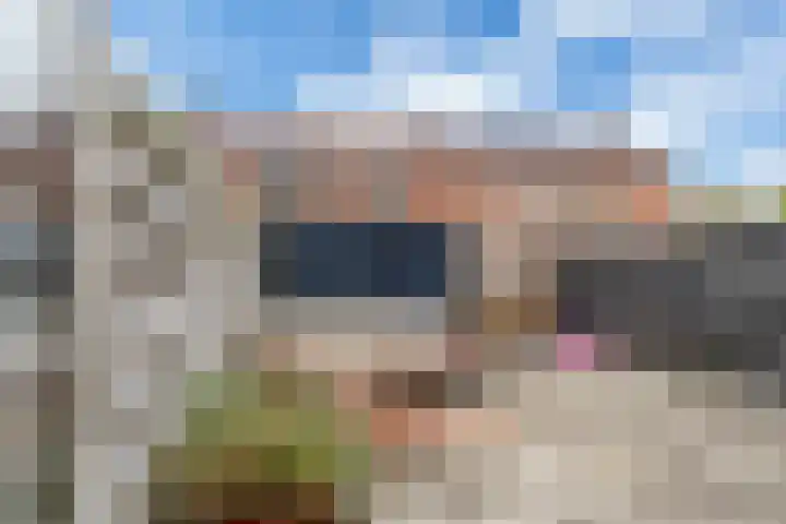Antonie Duyckstraat 6 Vlaardingen thumbnail 4