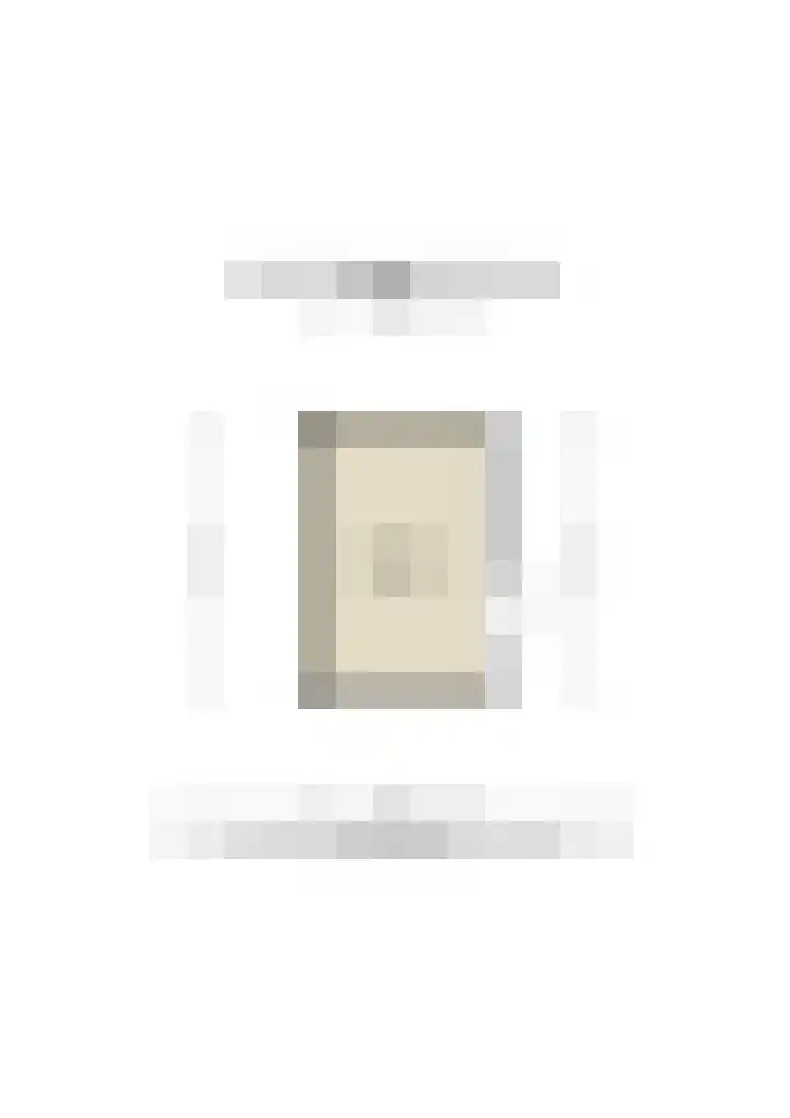 Antonie Duyckstraat 6 Vlaardingen thumbnail 43