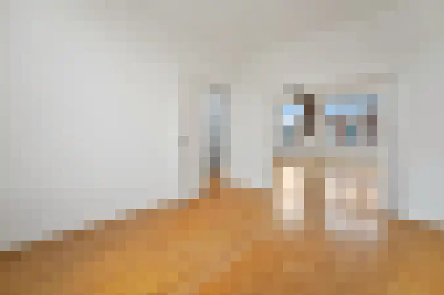 Antonie Duyckstraat 9 Den Haag thumbnail 17