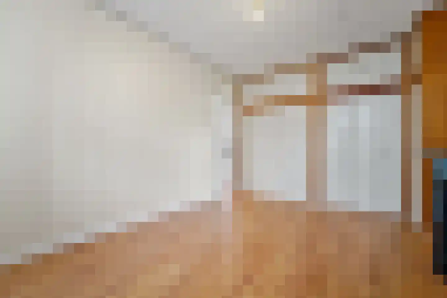 Antonie Duyckstraat 9 Den Haag thumbnail 32