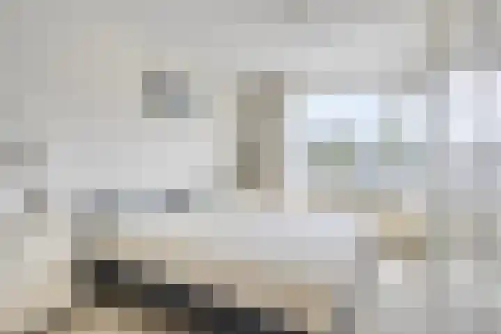 Antonie Genietsplein 6 Nieuw-Beijerland thumbnail 12
