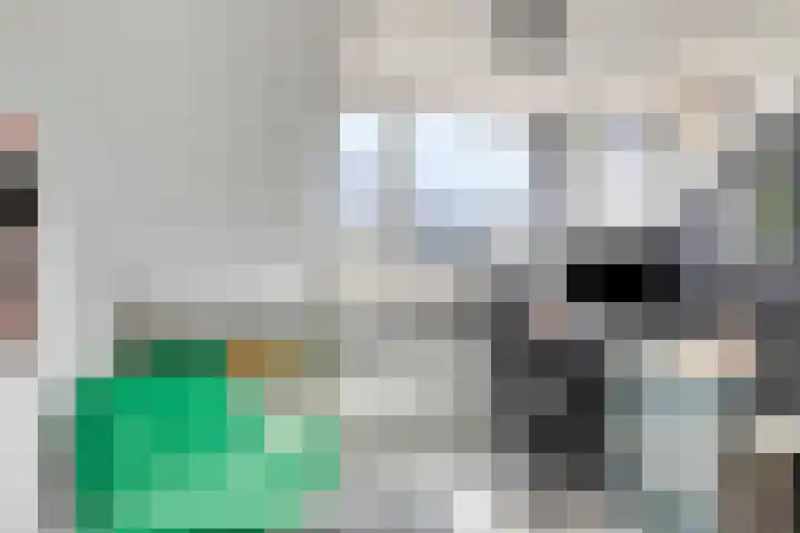 Antonie Genietsplein 6 Nieuw-Beijerland thumbnail 20