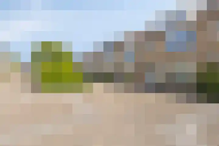 Antonie Genietsplein 6 Nieuw-Beijerland thumbnail 26