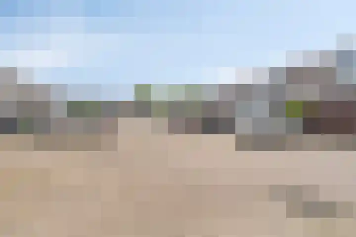 Antonie Genietsplein 6 Nieuw-Beijerland thumbnail 28
