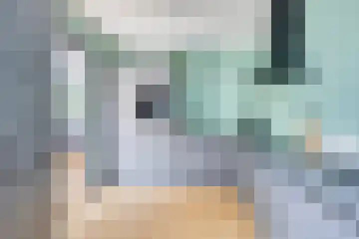 Antonie Genietsplein 6 Nieuw-Beijerland thumbnail 8