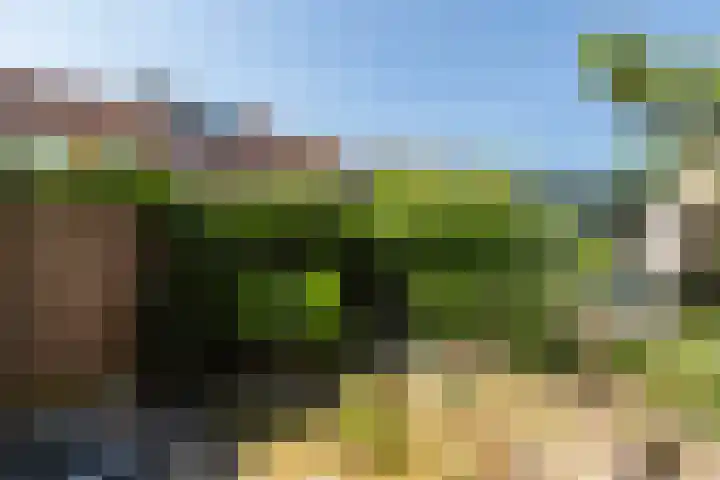 Antonie Heinsiusstraat 16 Vlaardingen thumbnail 17