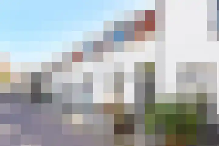 Antonie Heinsiusstraat 2 Delft thumbnail 4