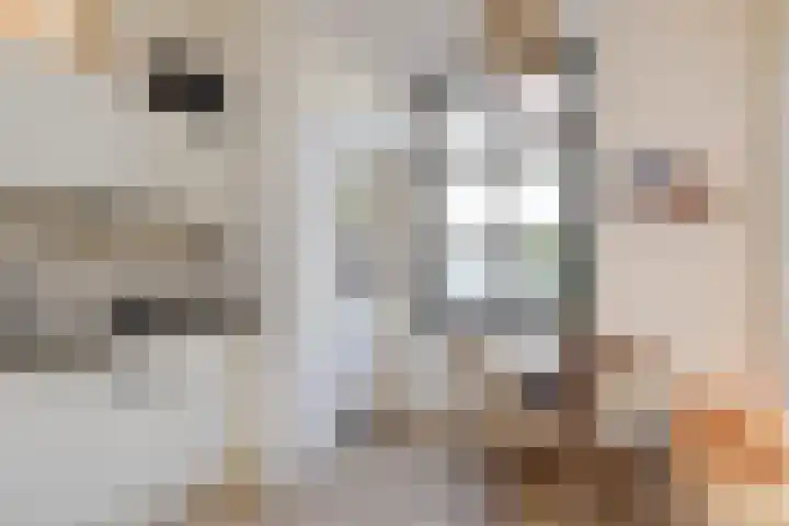 Antonie Heinsiusstraat 2 Delft thumbnail 7
