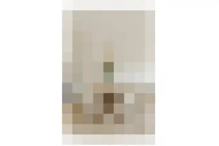 Antonie Heinsiusstraat 32 Amsterdam thumbnail 11