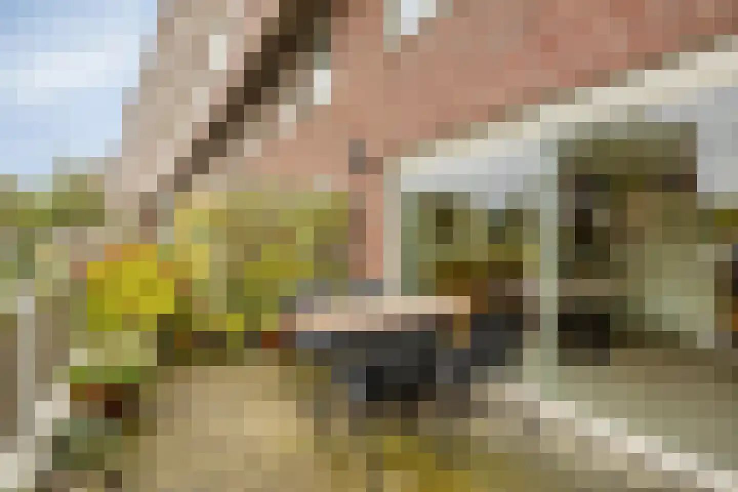 Antonie Heinsiusstraat 38 Amsterdam thumbnail 15