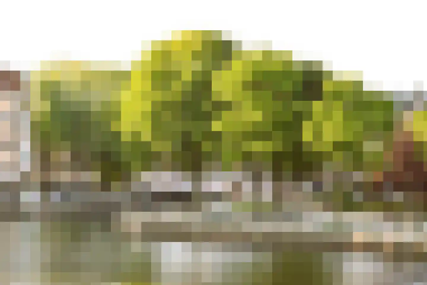 Antonie Heinsiusstraat 38 Amsterdam thumbnail 17