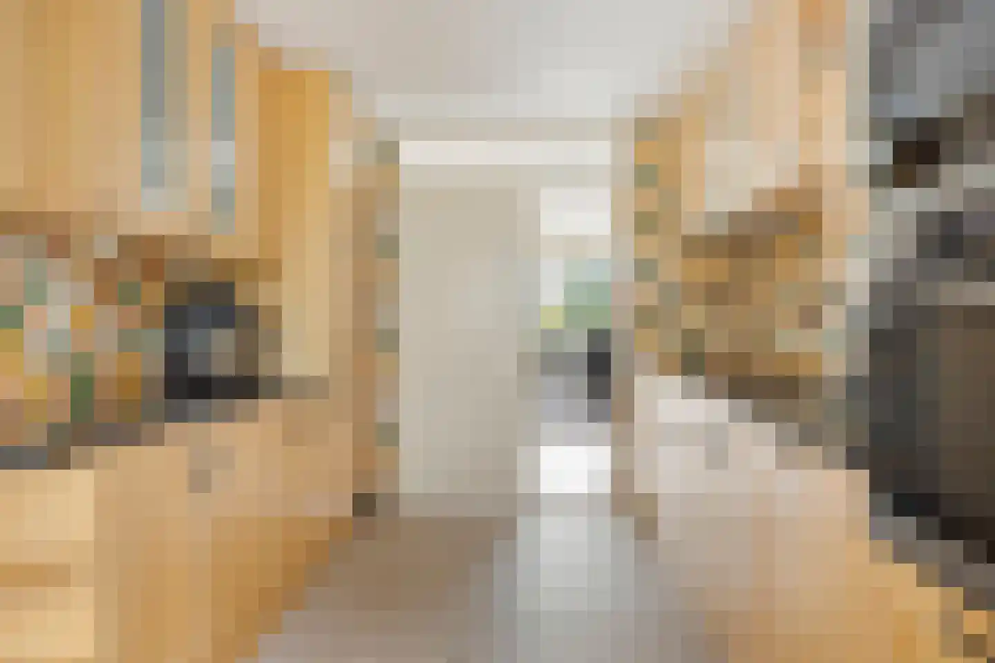 Antonie Heinsiusstraat 38 Amsterdam thumbnail 19