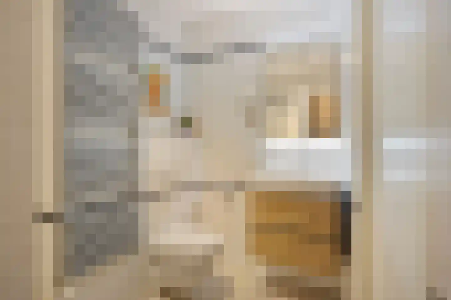 Antonie Heinsiusstraat 38 Amsterdam thumbnail 24