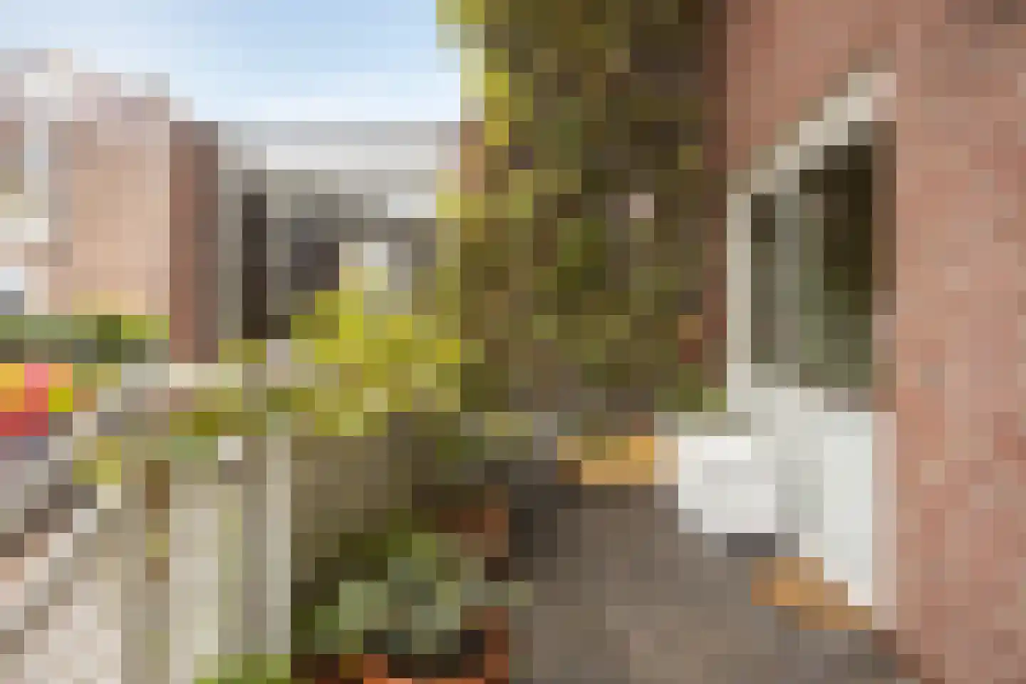 Antonie Heinsiusstraat 38 Amsterdam thumbnail 8