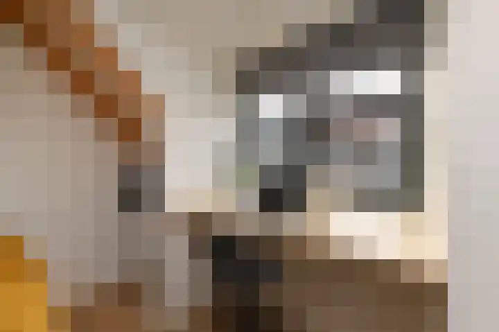 Antonie Heinsiusstraat 4 Delft thumbnail 22