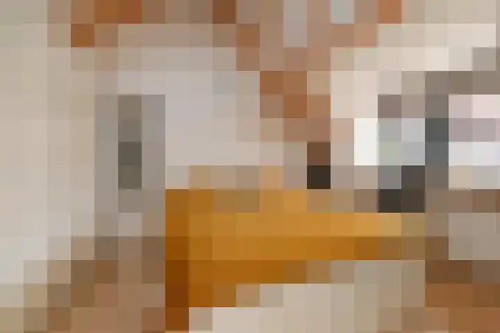 Antonie Heinsiusstraat 4 Delft thumbnail 4