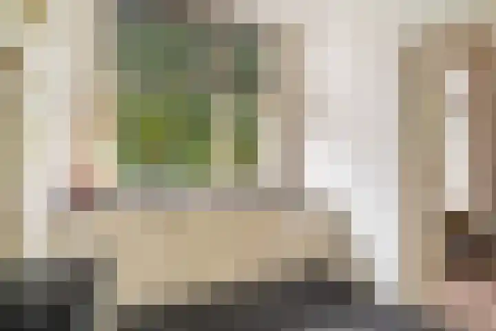 Antonie Heinsiusstraat 4 Den Haag thumbnail 13