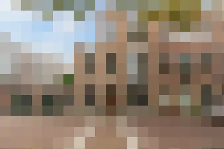 Antonie Heinsiusstraat 4 Den Haag thumbnail 45