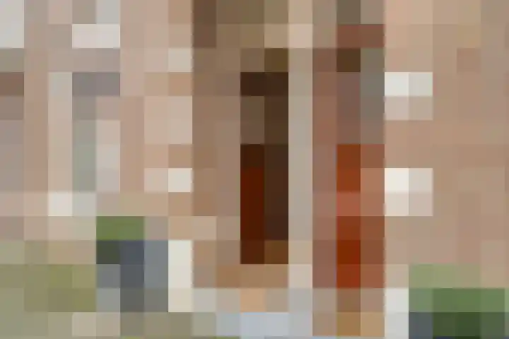 Antonie Heinsiusstraat 4 Den Haag thumbnail 5