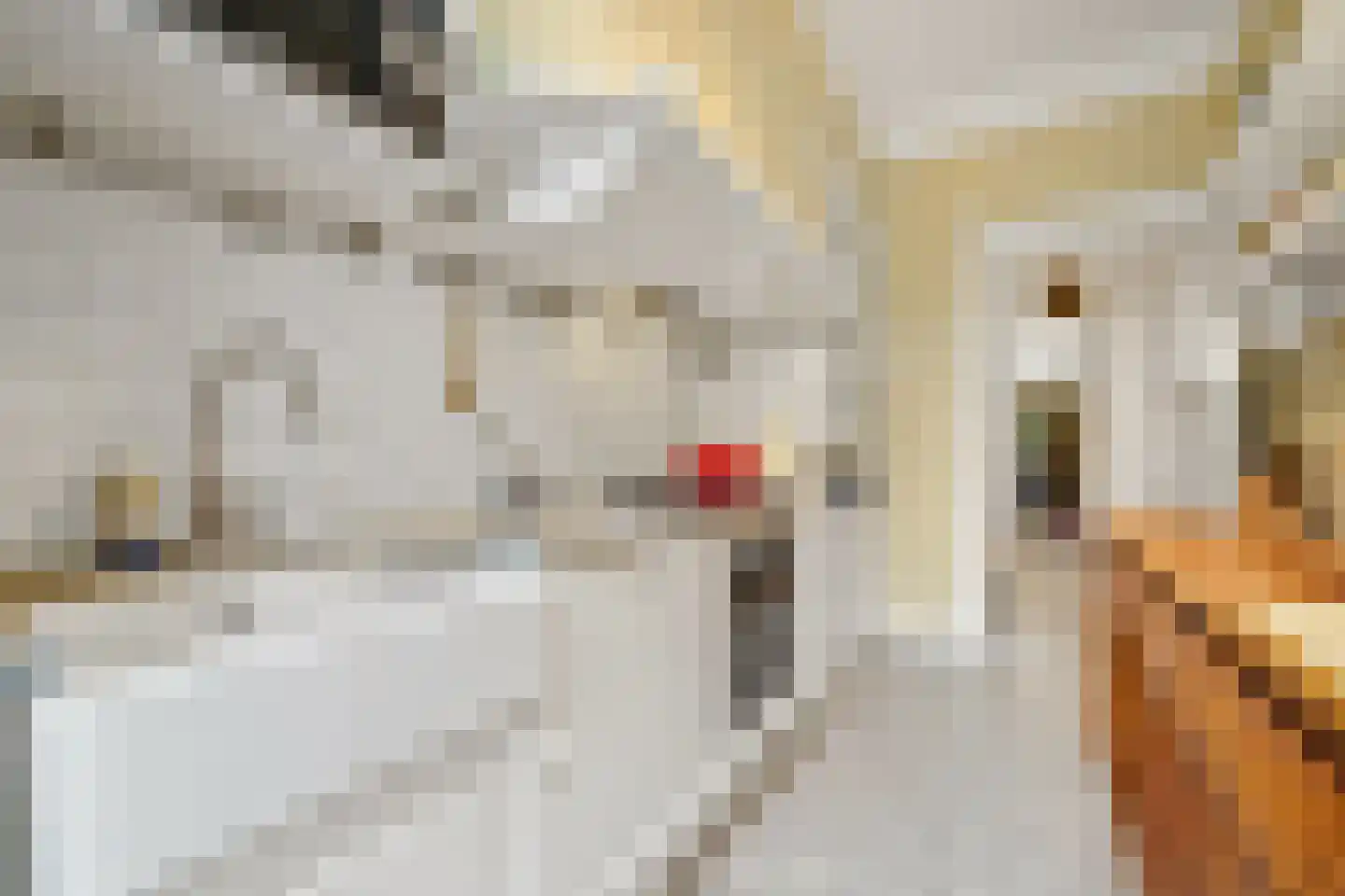 Antonie Heinsiusstraat 8 Den Haag thumbnail 19