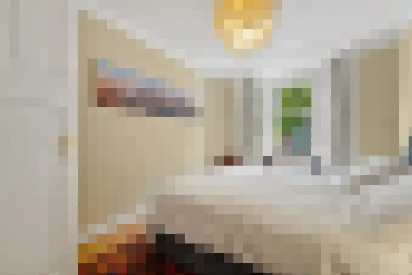 Antonie Heinsiusstraat 8 Den Haag thumbnail 30