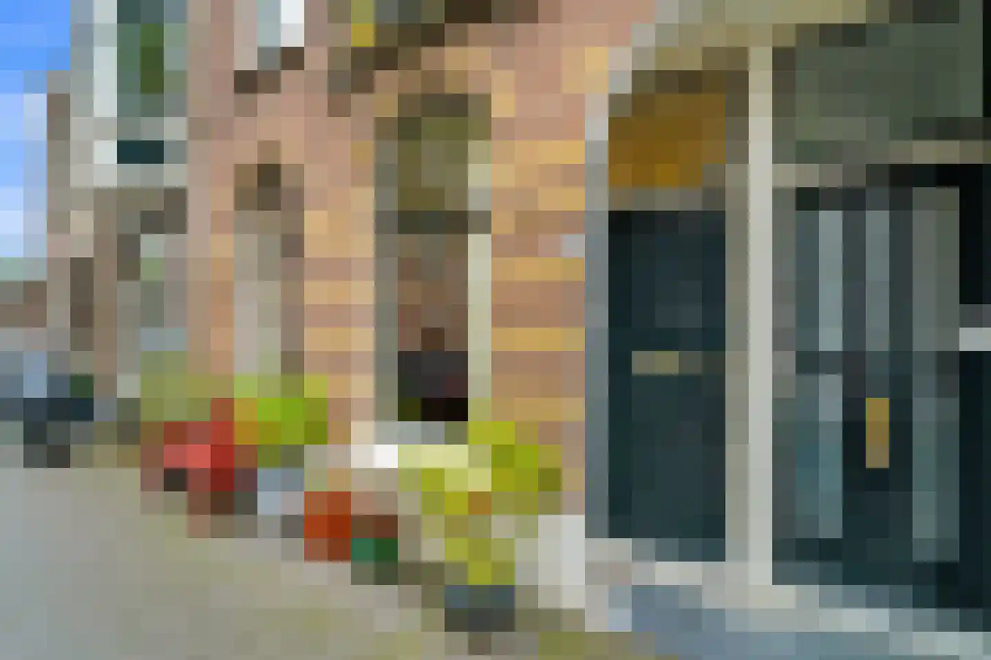 Antonie Heinsiusstraat 8 Den Haag thumbnail 4