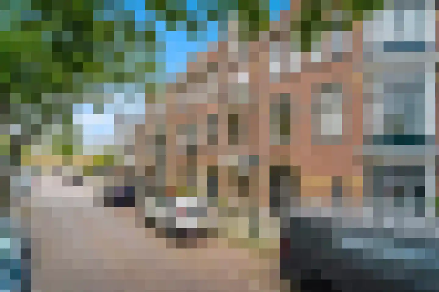 Antonie Heinsiusstraat 8 Den Haag thumbnail 45