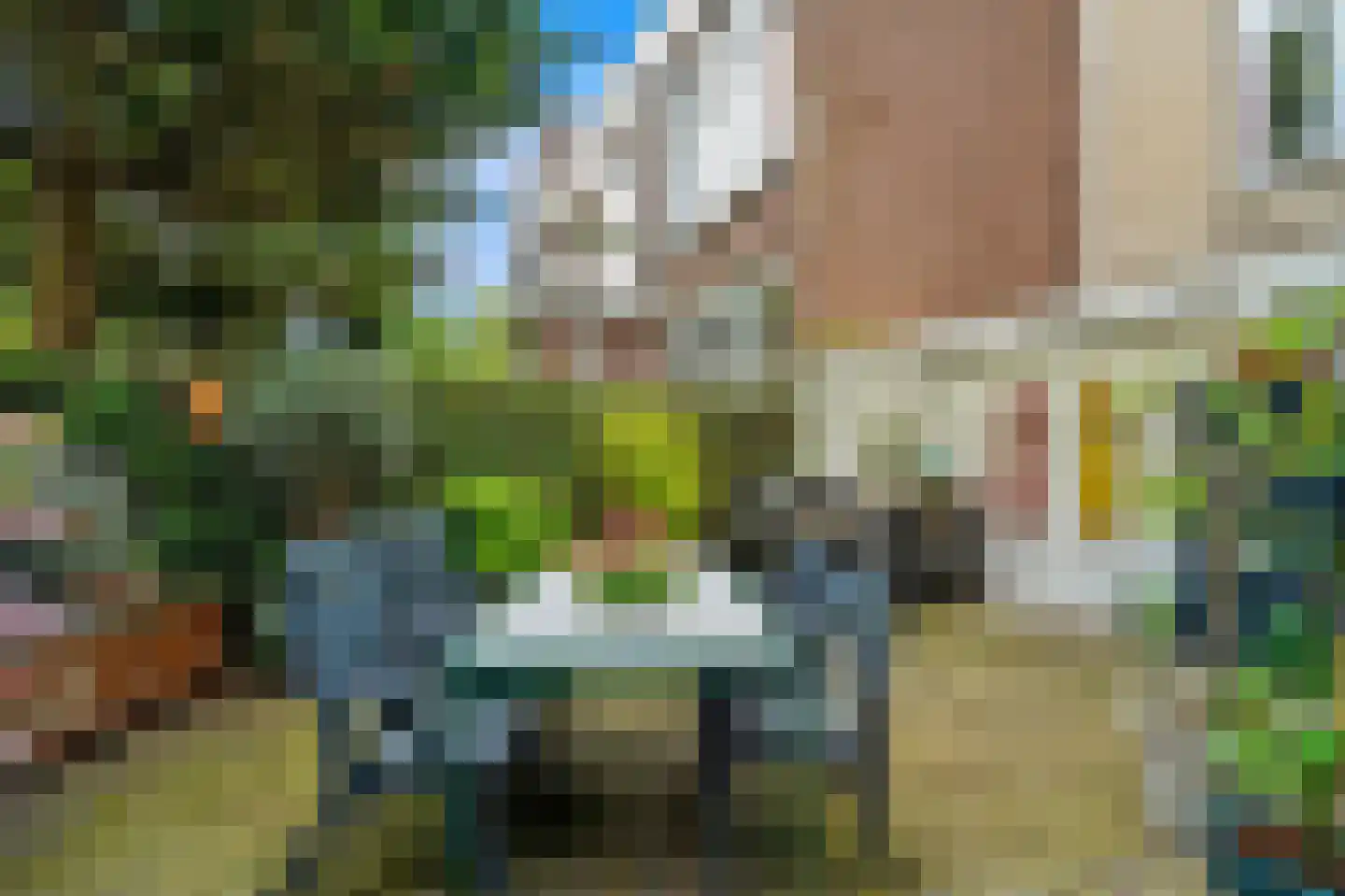 Antonie Heinsiusstraat 8 Den Haag thumbnail 5