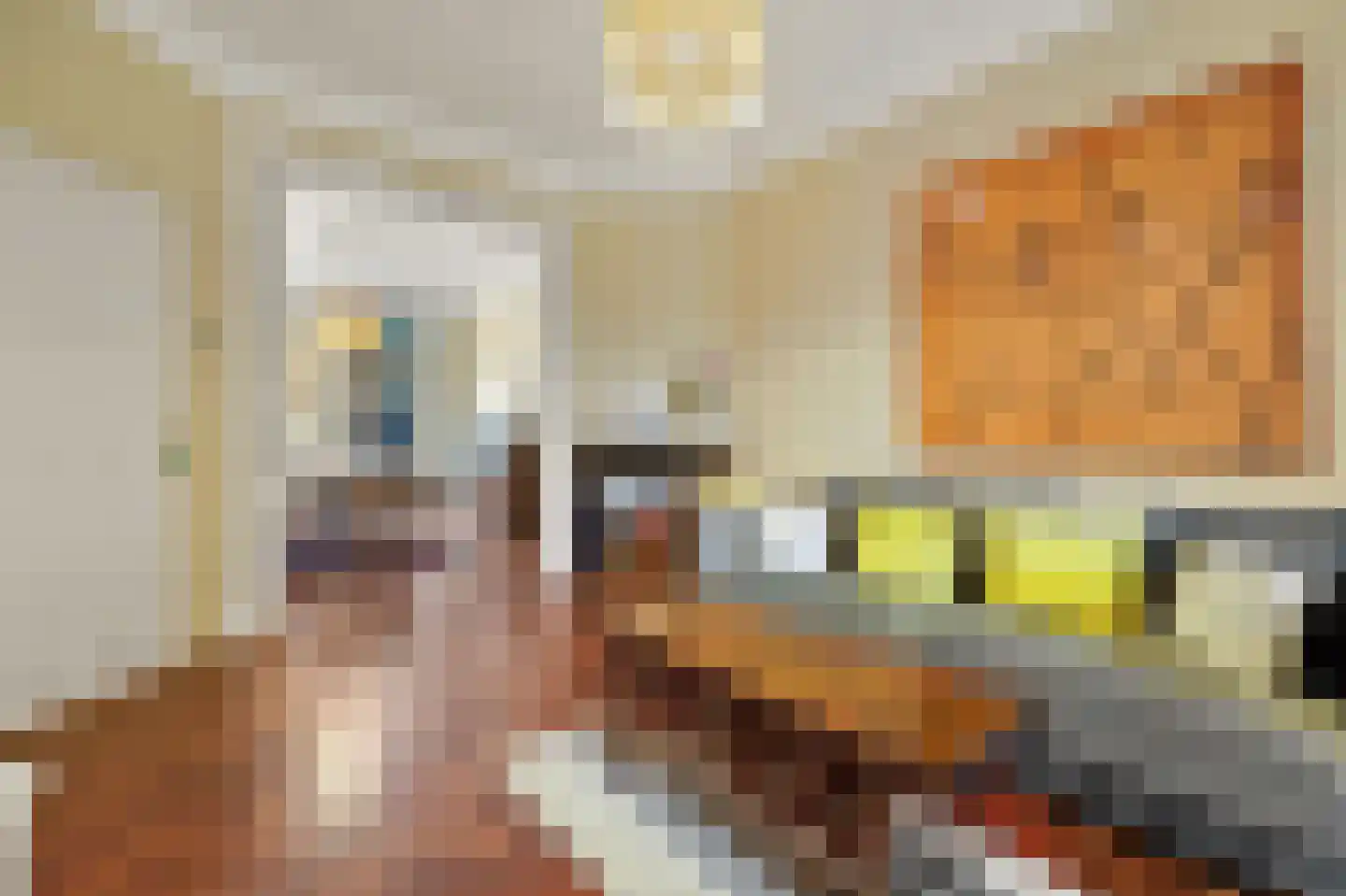 Antonie Heinsiusstraat 8 Den Haag thumbnail 7
