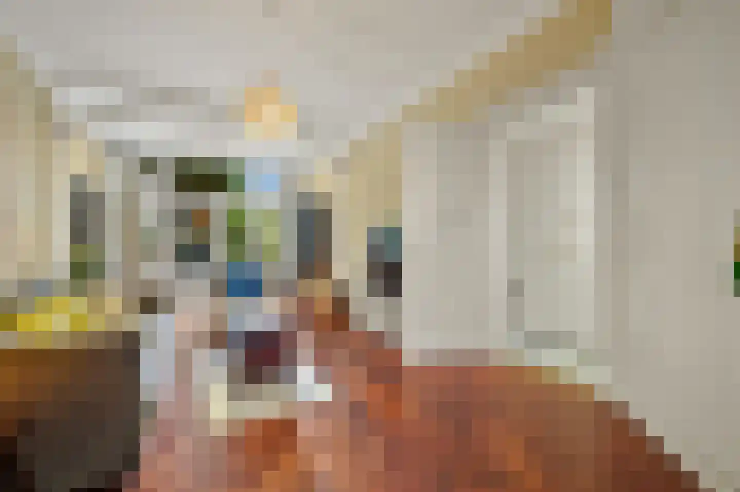 Antonie Heinsiusstraat 8 Den Haag thumbnail 8