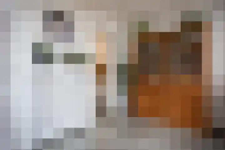 Antonie Morostraat 17 Eindhoven thumbnail 15