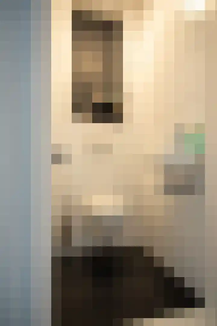 Antonie Morostraat 17 Eindhoven thumbnail 18