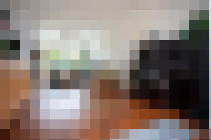 Antonie Morostraat 17 Eindhoven thumbnail 4