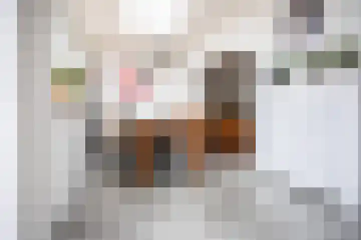 Antonie Morostraat 17 Eindhoven thumbnail 8