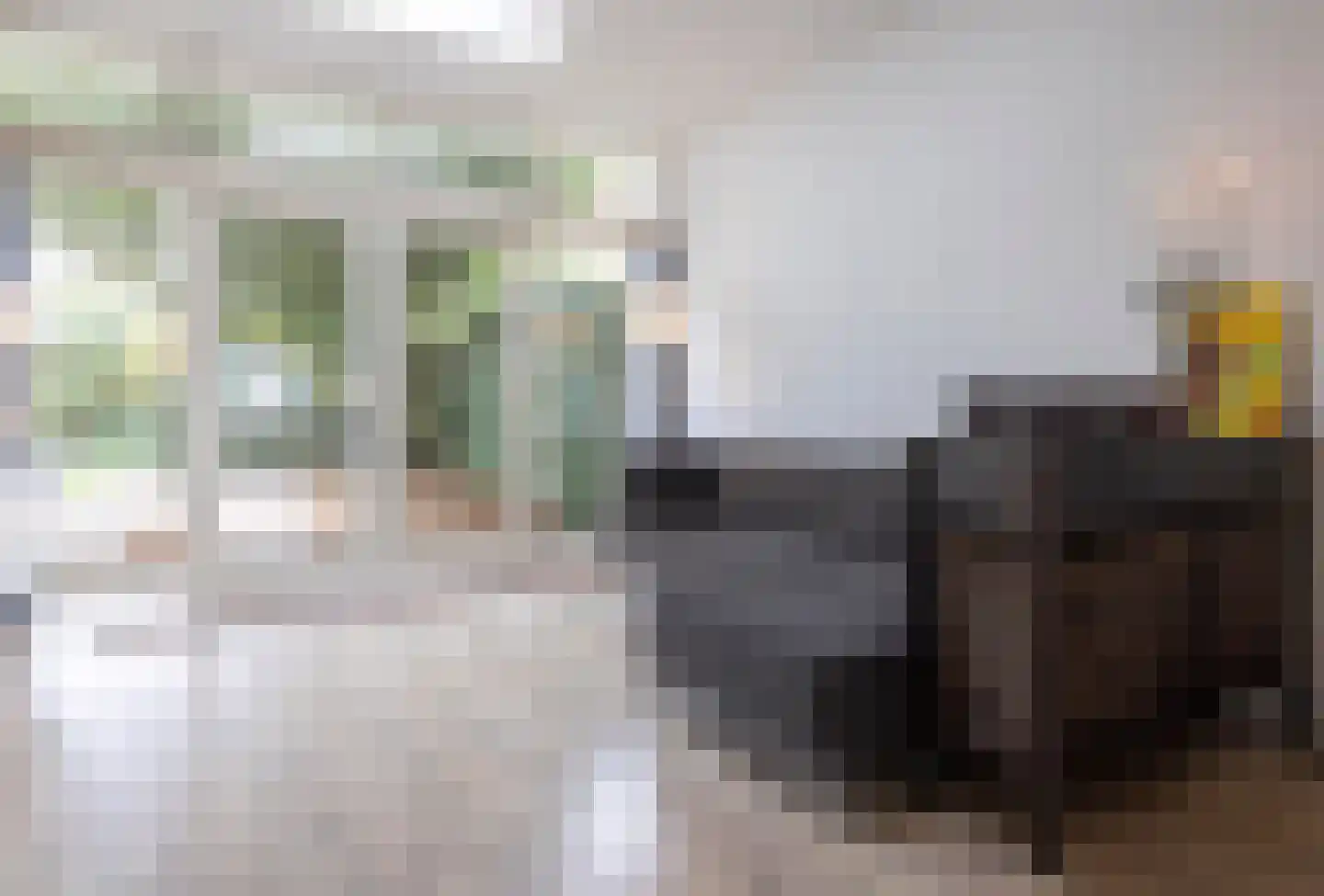 Antonie van Diemenstraat 2 Tilburg thumbnail 19