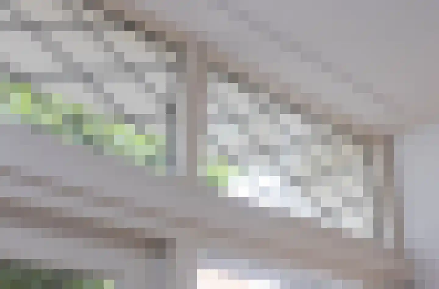 Antonie van Diemenstraat 2 Tilburg thumbnail 26
